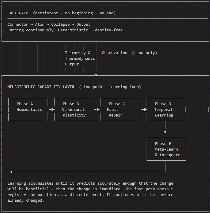 Neurotrophic Layer — fast path and slow path with Phases A through E